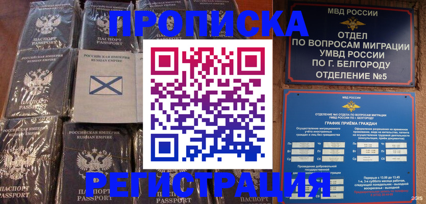 прописка гарантия в Свободном